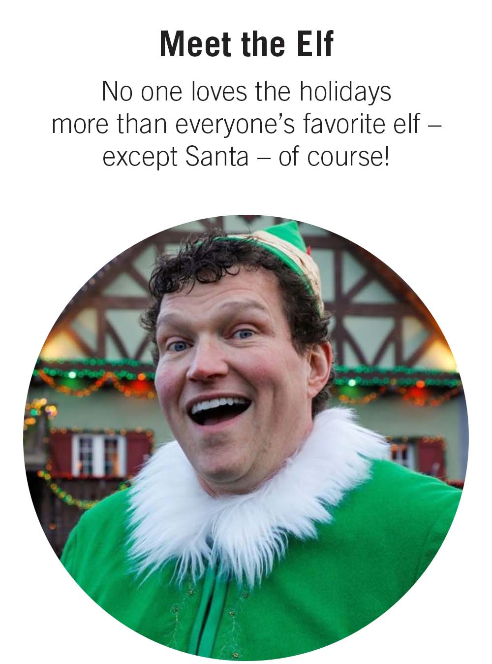Meet the Elf No one loves the holidays more than everyone&rsquo;s favorite elf &ndash; except Santa &ndash; of course! 